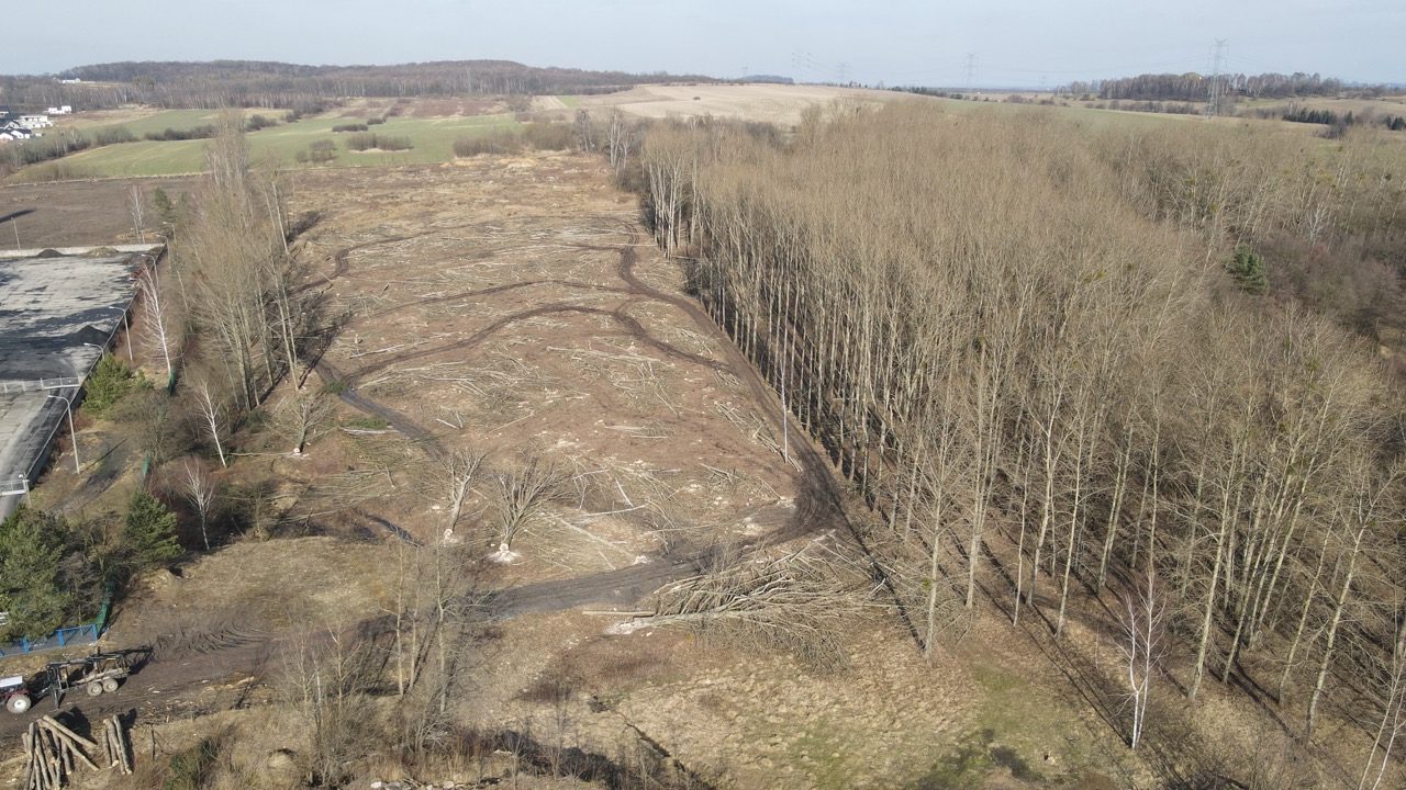 Radzionków, Szybowa