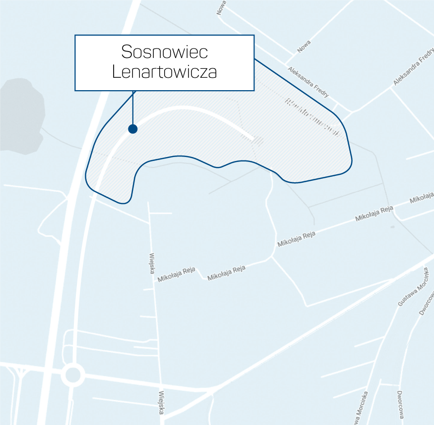 SOSNOWIEC PRZY TRASIE S1